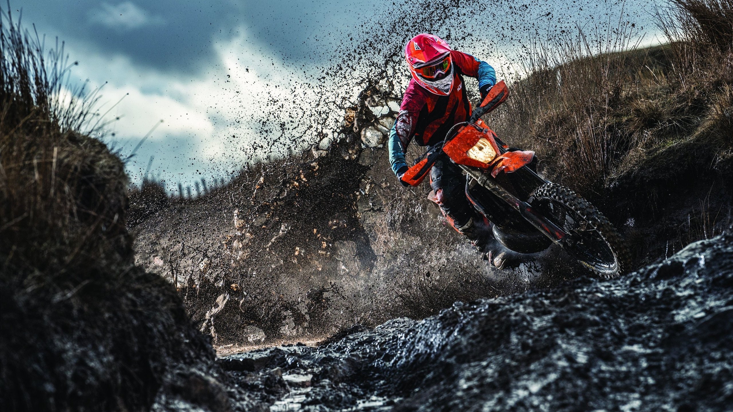 乌克兰女篮在欧洲比赛中持续成长，冲击奥运